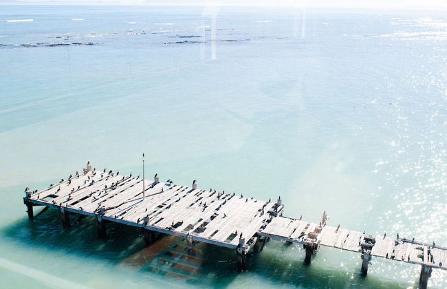 Strand Pavilion - Foto 60