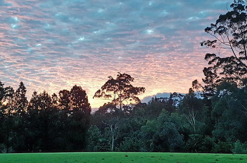 Foto 54 - Kerikeri Park Lodge