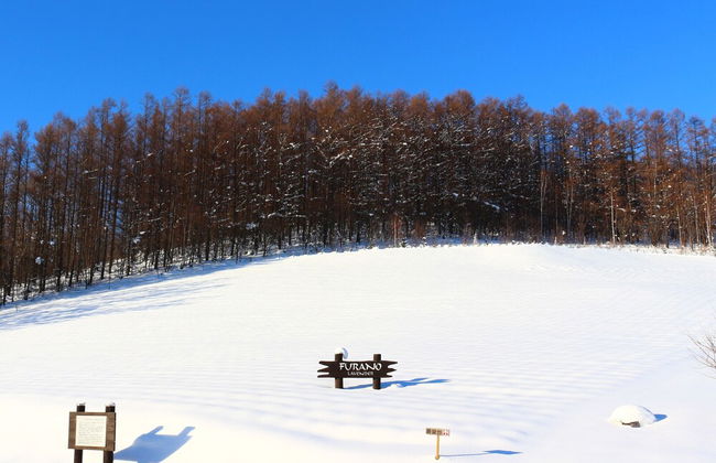 Furano Denen Cottage Nupuri - Foto 25