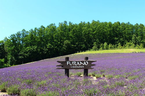 Photo 24 - Furano Denen Cottage Nupuri