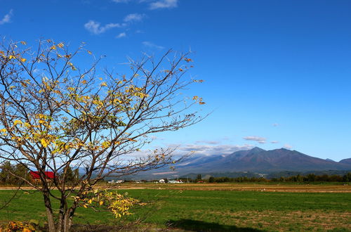 Photo 18 - Furano Denen Cottage Nupuri