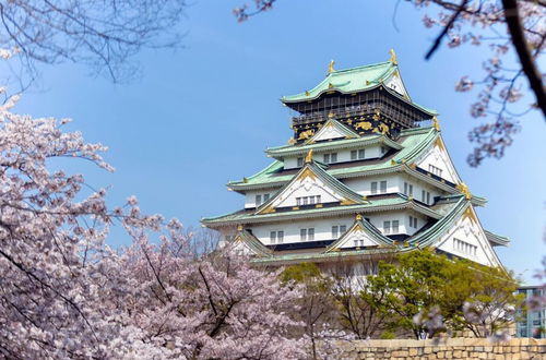 Photo 46 - Condominium House in Osaka Miyakojima