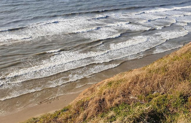 The sunset suit - Foto 44