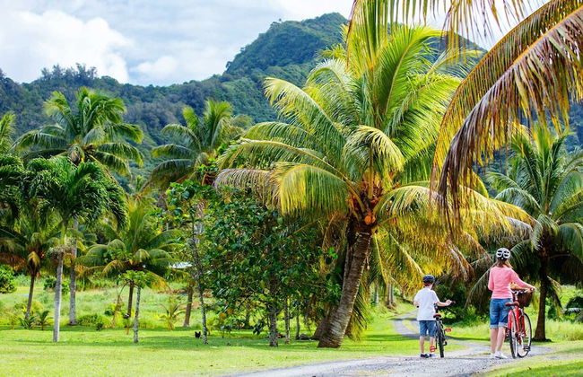 Raiwasa Grand Villa - Foto 33