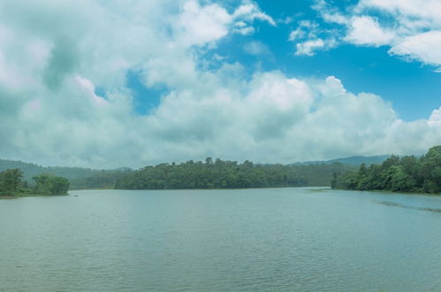 Photo 15 - Ama Plantation Trails , Chikmagalur