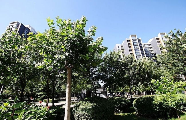 China Sunshine Apartmen Guomao - Foto 74