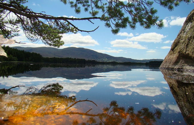 The Boat House Chalet - Boat of Garten - Near Aviemore - Sleeps 6 - Foto 10