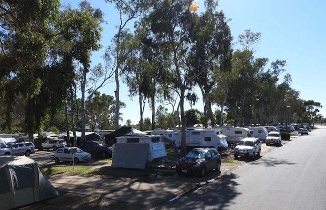 Victoria Lake Holiday Park - Foto 6