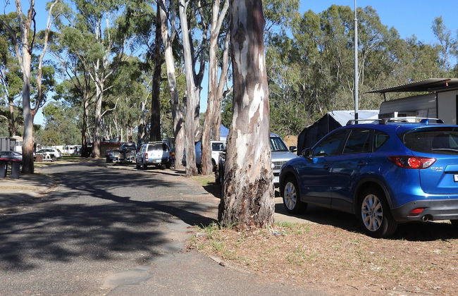 Victoria Lake Holiday Park - Foto 10