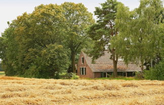 Photo 1 - Spacious Farmhouse near Forest in Stramproy