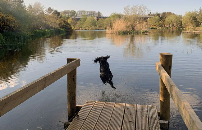 Shepherds Loch Glamping - Foto 78
