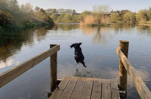 Photo 78 - Shepherds Loch Glamping