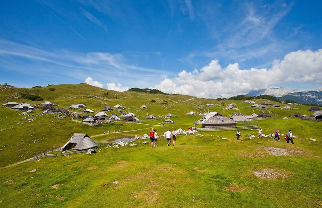 Chalet Pehta - Velika Planina - Foto 28