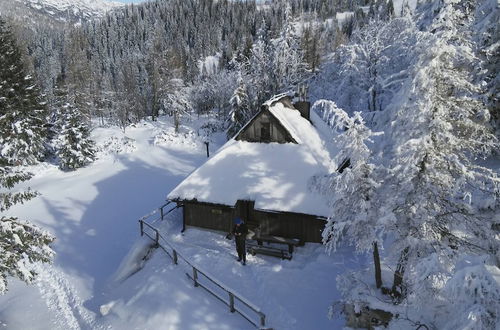 Photo 24 - Chalet Pehta - Velika Planina