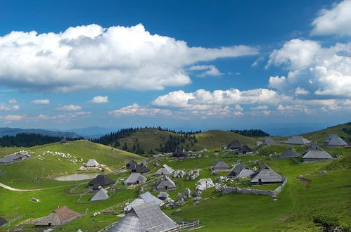 Photo 25 - Chalet Pehta - Velika Planina