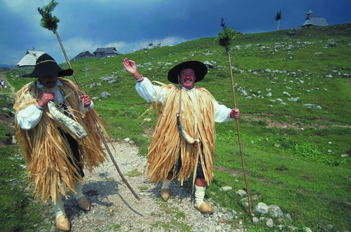 Photo 26 - Chalet Pehta - Velika Planina