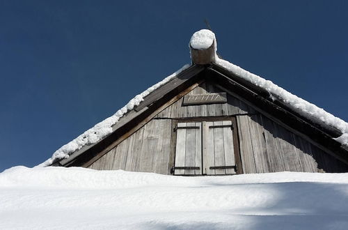 Foto 34 - Chalet Pehta - Velika Planina