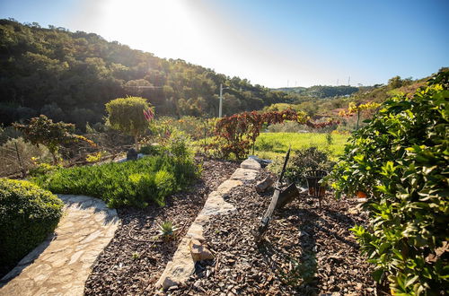 Photo 23 - Charming Country House in the Algarve Countryside