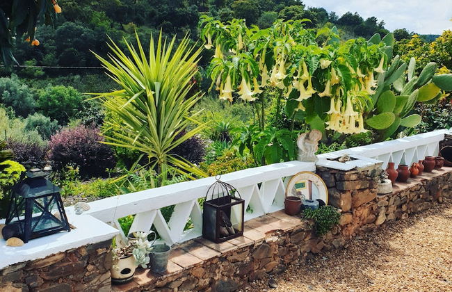 Casa Catarina Holiday House Near Tavira, Algarve - Foto 40