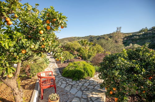 Photo 44 - Casa Catarina Holiday House Near Tavira, Algarve