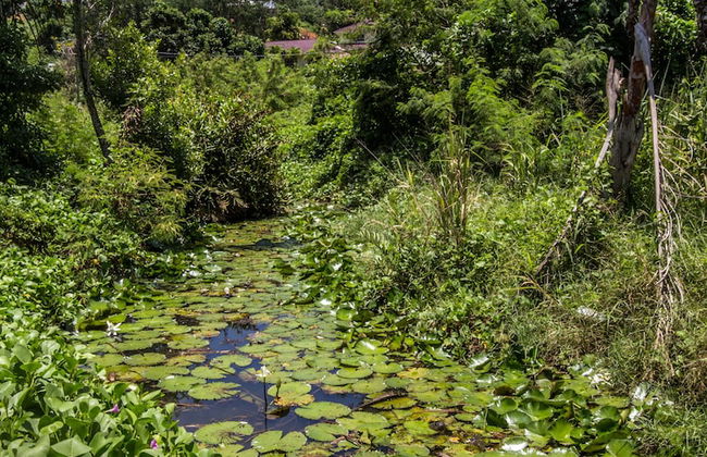 Flora's Self Catering - Foto 23