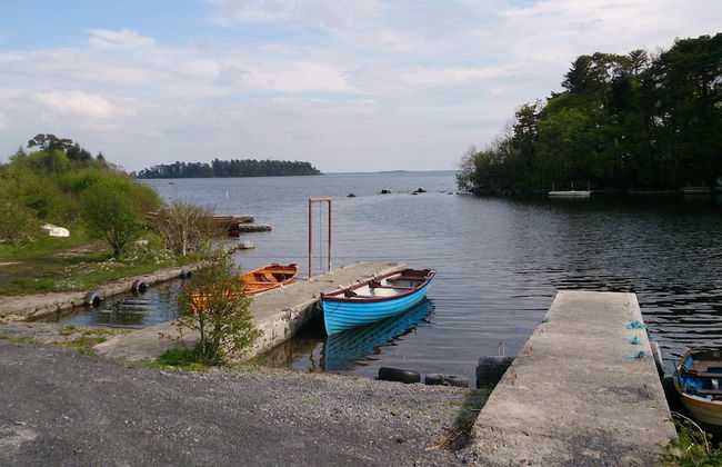 Villa Pio Luxury Apartment 3km From Historic Cong, Ashford Castle, Ashford Lodge - Foto 3