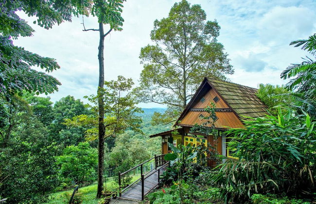 The Dusun - Photo 13