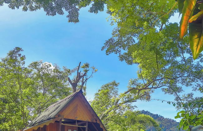 The Dusun - Photo 2