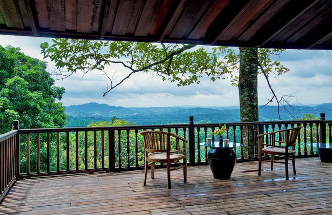 The Dusun - Photo 59