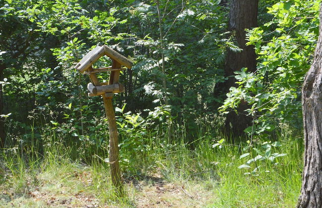 Romantic Forest Retreat With Sauna - Foto 24
