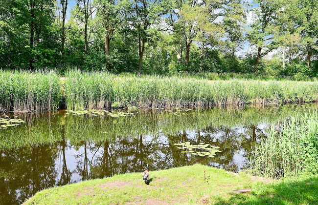 House in Reutum With Jacuzzi & Forest View - Foto 25