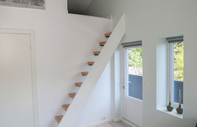 Stadium - Central - Park - Art Gallery - Photo 9