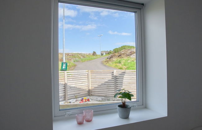 Stadium - Central - Park - Art Gallery - Photo 3