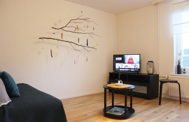 Casa Schilling 2,5 Rooms in St Gallen, Modern, Quiet and Close to the Center - Foto 4