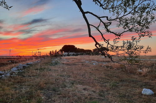 Photo 19 - Once Upon a Time in Masseria Sitamara