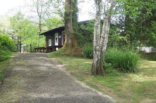 Photo 36 - Honeysuckle Lodge set in a Beautiful 24 Acre Woodland Holiday Park