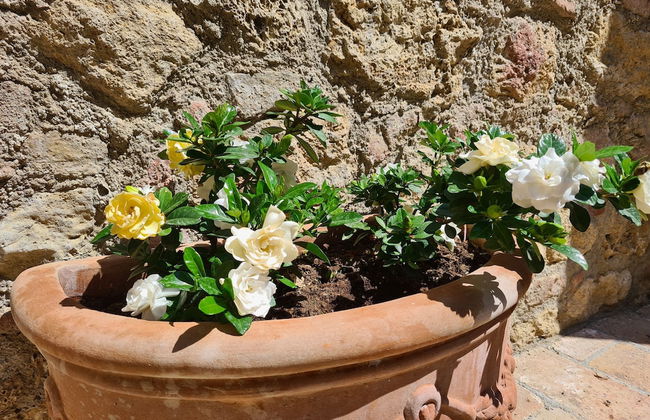 La Terrazza, Historic Tuscan Stone Residence With Garden and Terrace in Cetona - Foto 22