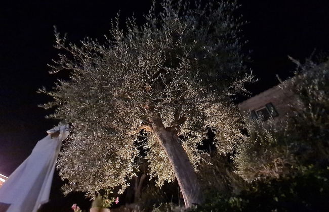 La Terrazza, Historic Tuscan Stone Residence With Garden and Terrace in Cetona - Foto 31