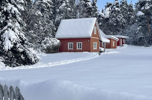 Photo 59 - Cottage Faflik - Air Con And Own Sauna, Swedish House no 001