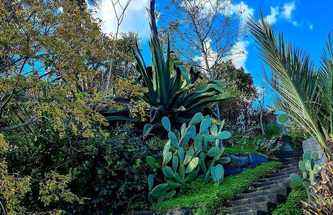 Etna Panoramic Villa With Swimming Pool - Photo 42