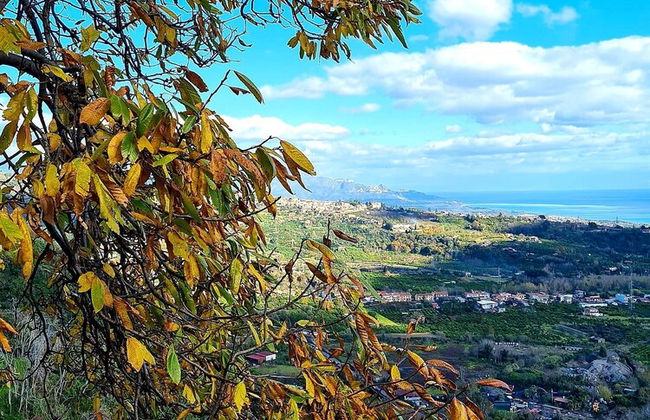 Etna Panoramic Villa With Swimming Pool - Photo 64