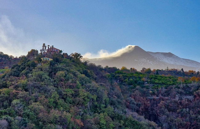 Etna Panoramic Villa With Swimming Pool - Photo 71