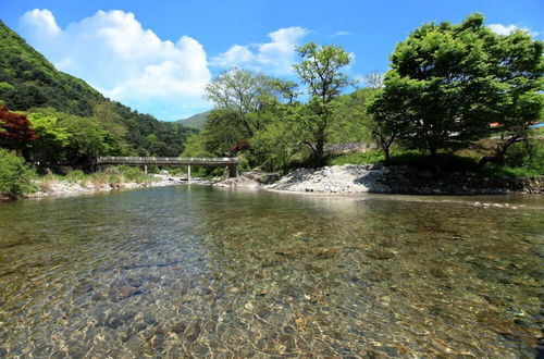 Photo 22 - Yongchu Morning Pension