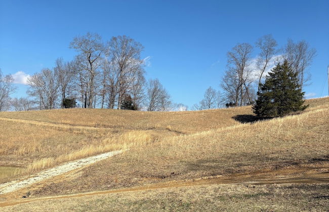 Newly Listed-Private 25-Acre Escape Near Red River Gorge - Photo 59