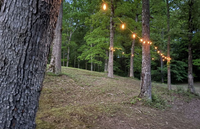 Newly Listed-Private 25-Acre Escape Near Red River Gorge - Photo 77
