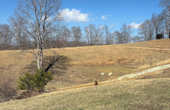 Newly Listed-Private 25-Acre Escape Near Red River Gorge - Photo 60