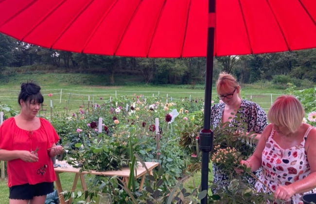 Flower Farm Glamping Retreat in Suffolk - Foto 17