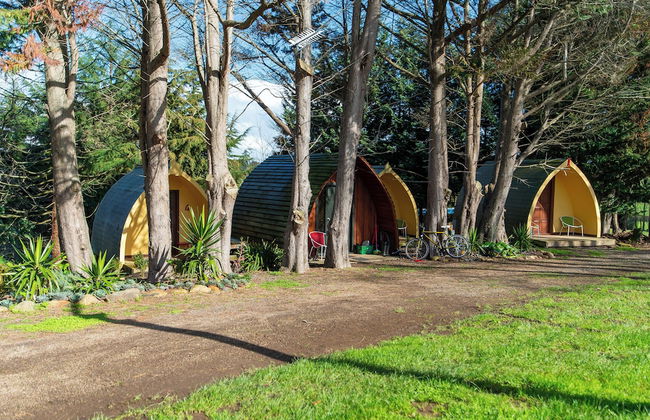 Morning Calm Lodge Limited - Foto 23
