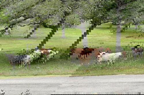 Foto 51 - Spacious 90-acre Ranch Ideal for Families Reunions Events Sleeps 13 San Marcos River Access