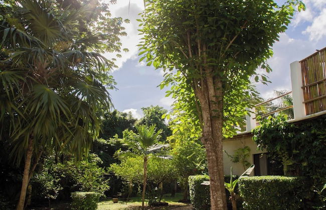 Mini Pini Birdwatching and Cenote Loft4 you Only - Foto 48